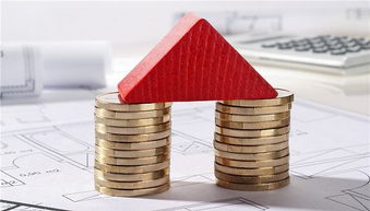 房产经纪人服务欠透明，十位借款人陷入财务困境